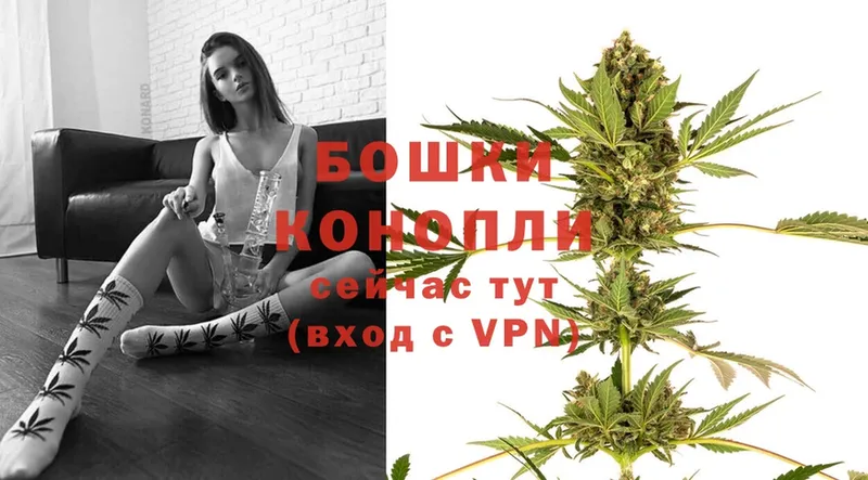 Каннабис SATIVA & INDICA  как найти закладки  Аша 